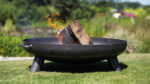 fire-pit-salo-01.jpg